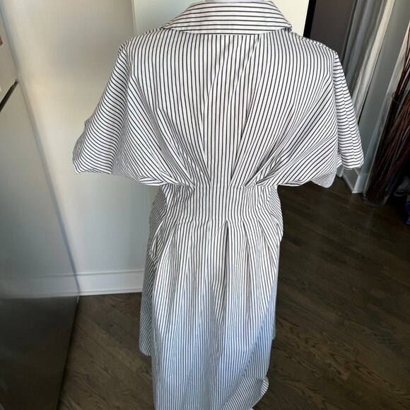 Anthropology The Tobie Button-Front Pleated Shirt Dress by Exquise - Picture 7 of 14